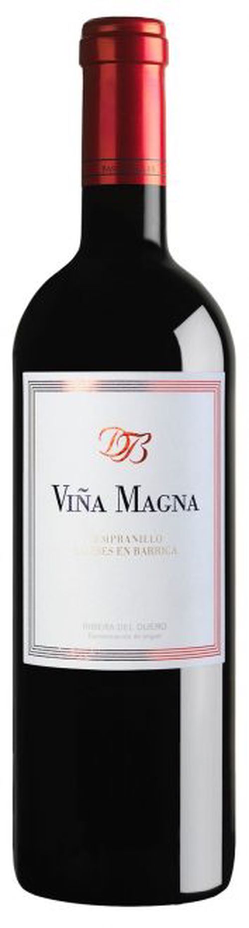 Viña Magna 6 meses 2021, Dominio Basconcillos,  Ribera del Duero